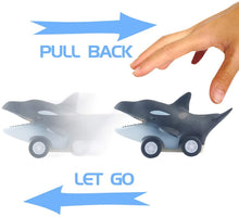 Load image into Gallery viewer, 2